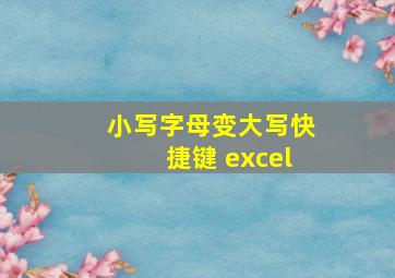 小写字母变大写快捷键 excel